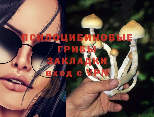 меф Алзамай